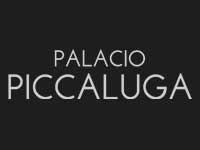 logo hbadjs palacio picaluga