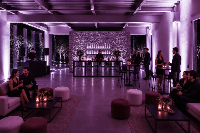 Fiestas sin tanda de baile: 7 claves para un clima perfecto 1 Lila evento HBA app